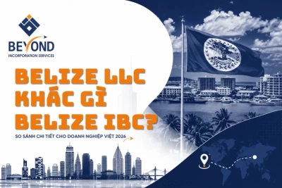 Belize LLC khác gì Belize IBC? So sánh chi tiết cho doanh nghiệp Việt