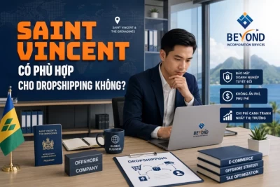 Saint Vincent có phù hợp cho dropshipping không? Phân tích thực tế 2026